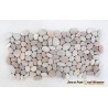 Pebble