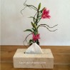 Tisue Box