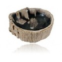 Fossil Wood Basins